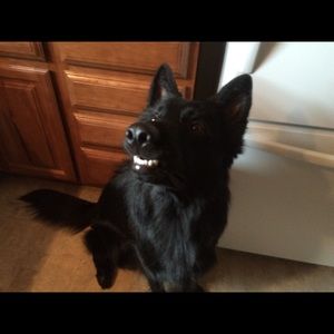 Meet your Posher, Tina